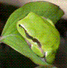 Avatar du membre